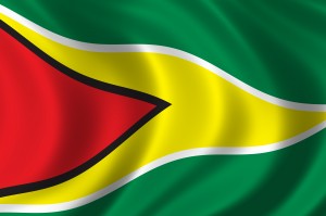 Flag of Guyana